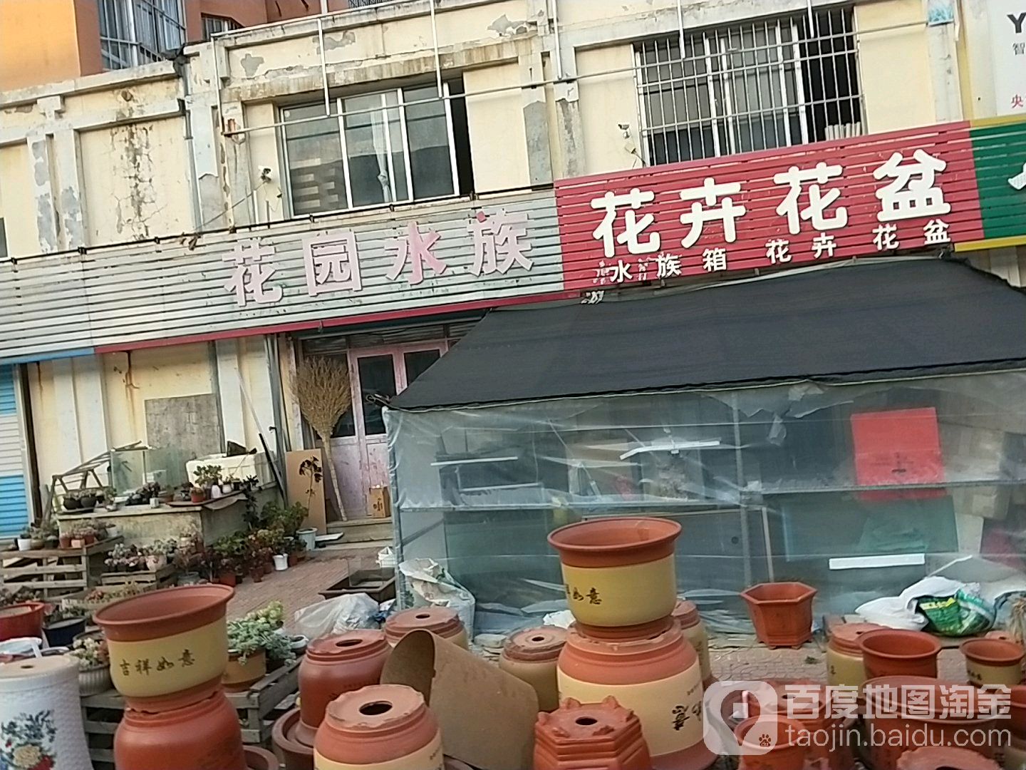 花园水族