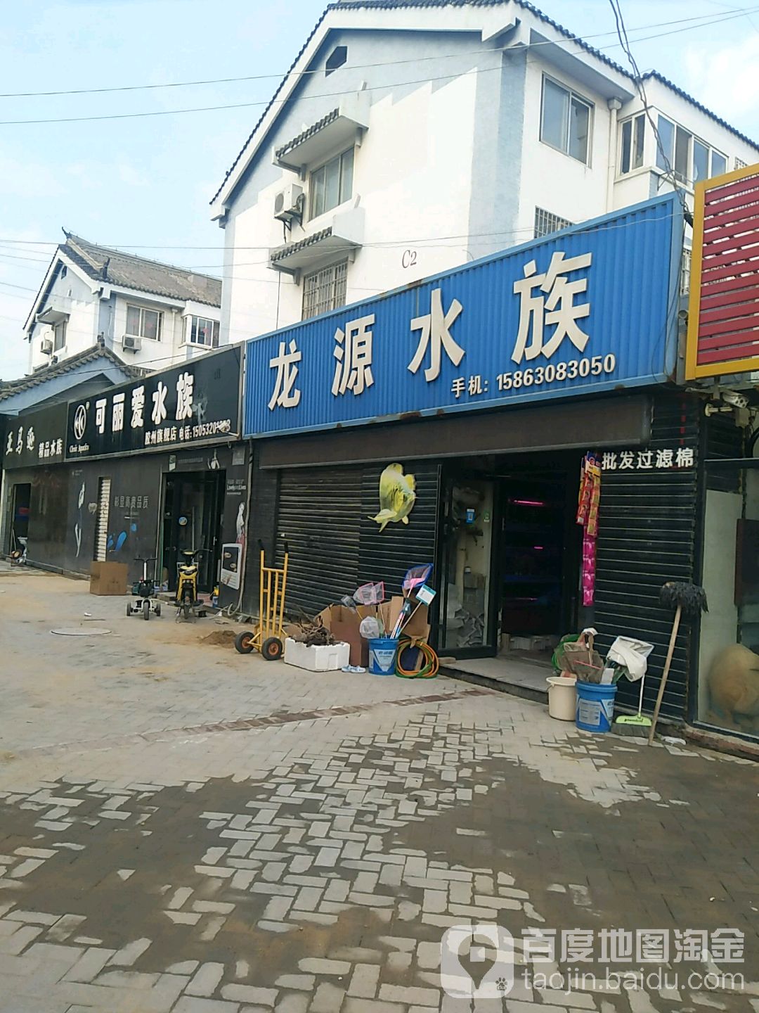 龙源水族(胶州旗舰店)