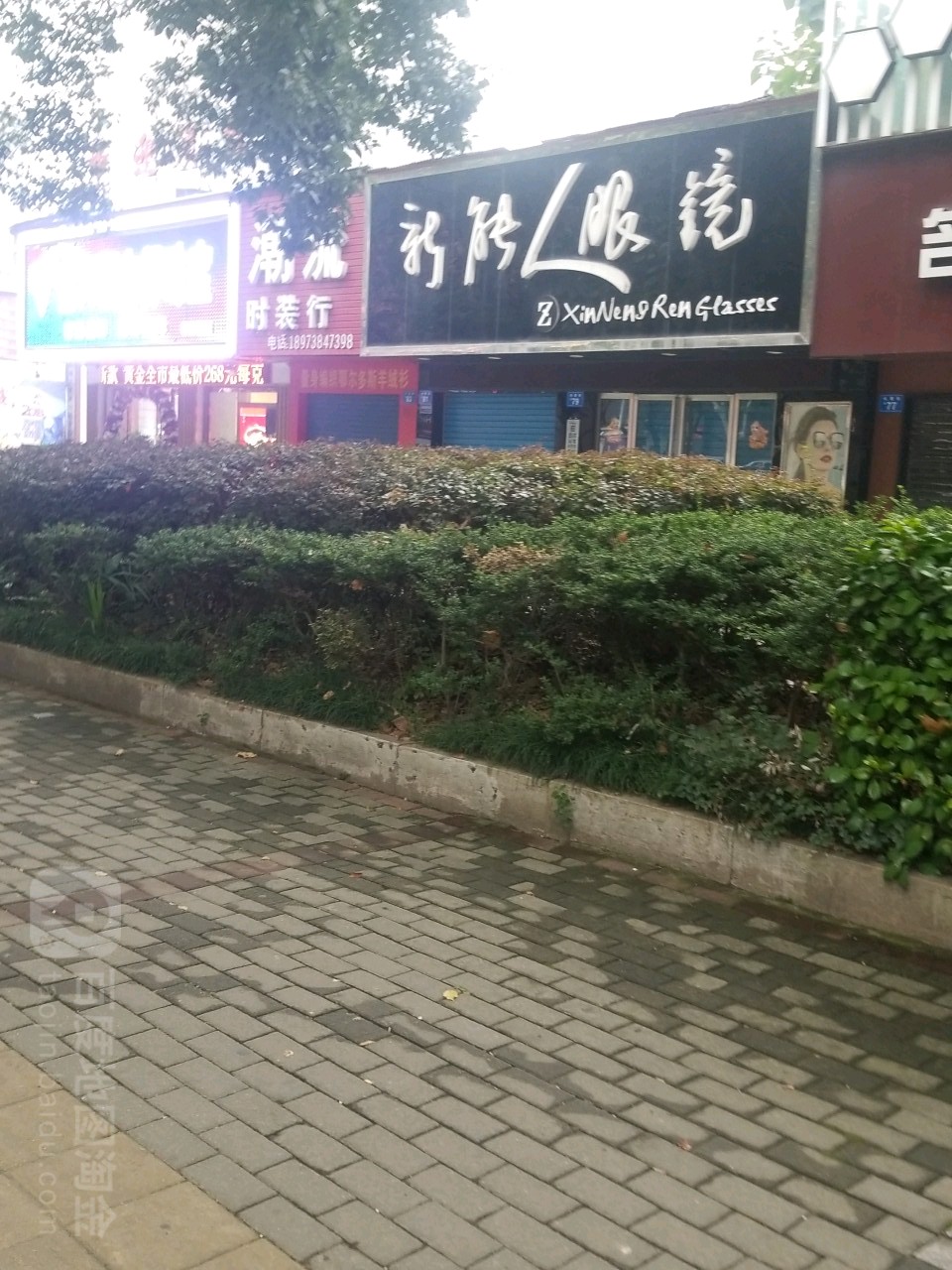 新能人眼睛