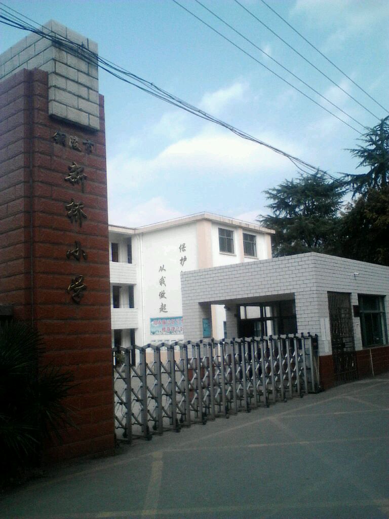 安徽省铜陵市新桥小学