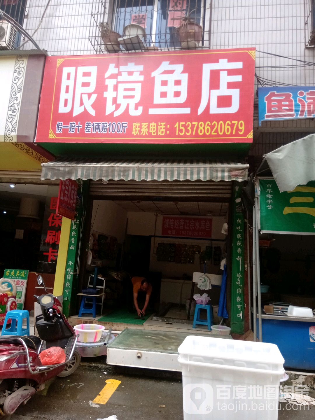 眼睛鱼店