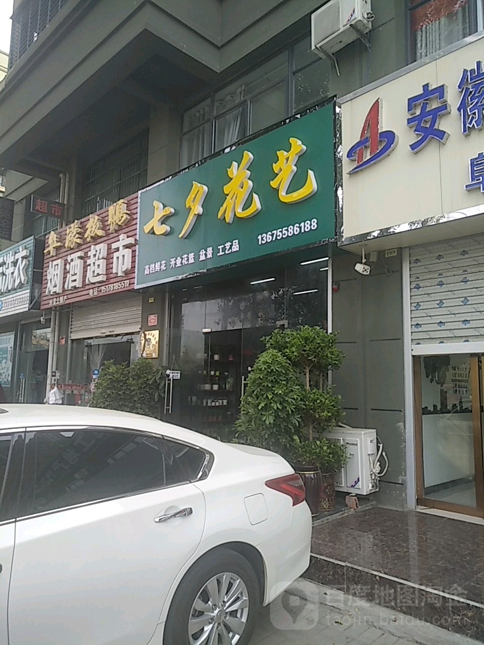 七夕花一(三塔路店)