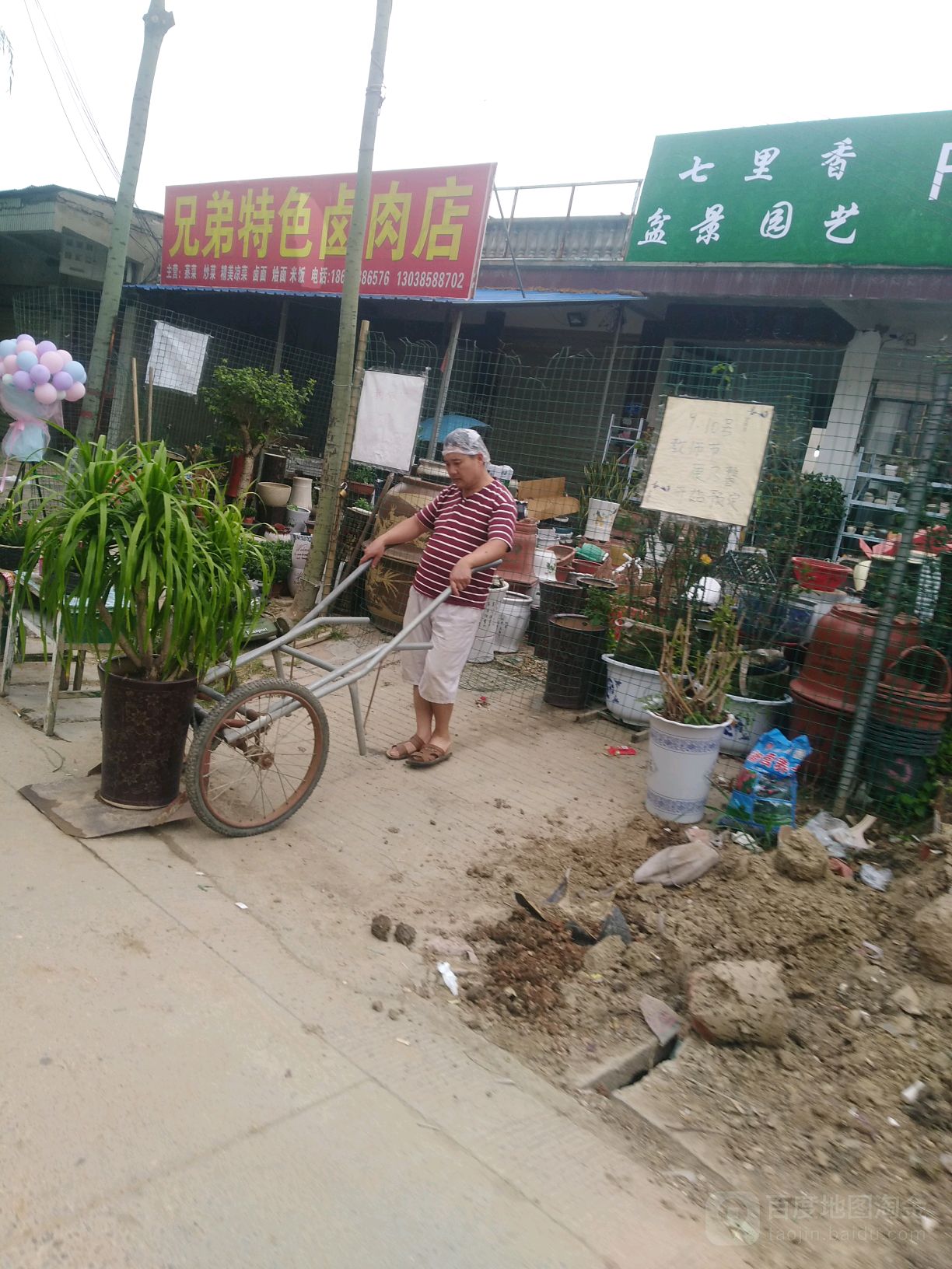 沈丘县槐店回族镇七里香盆景园艺