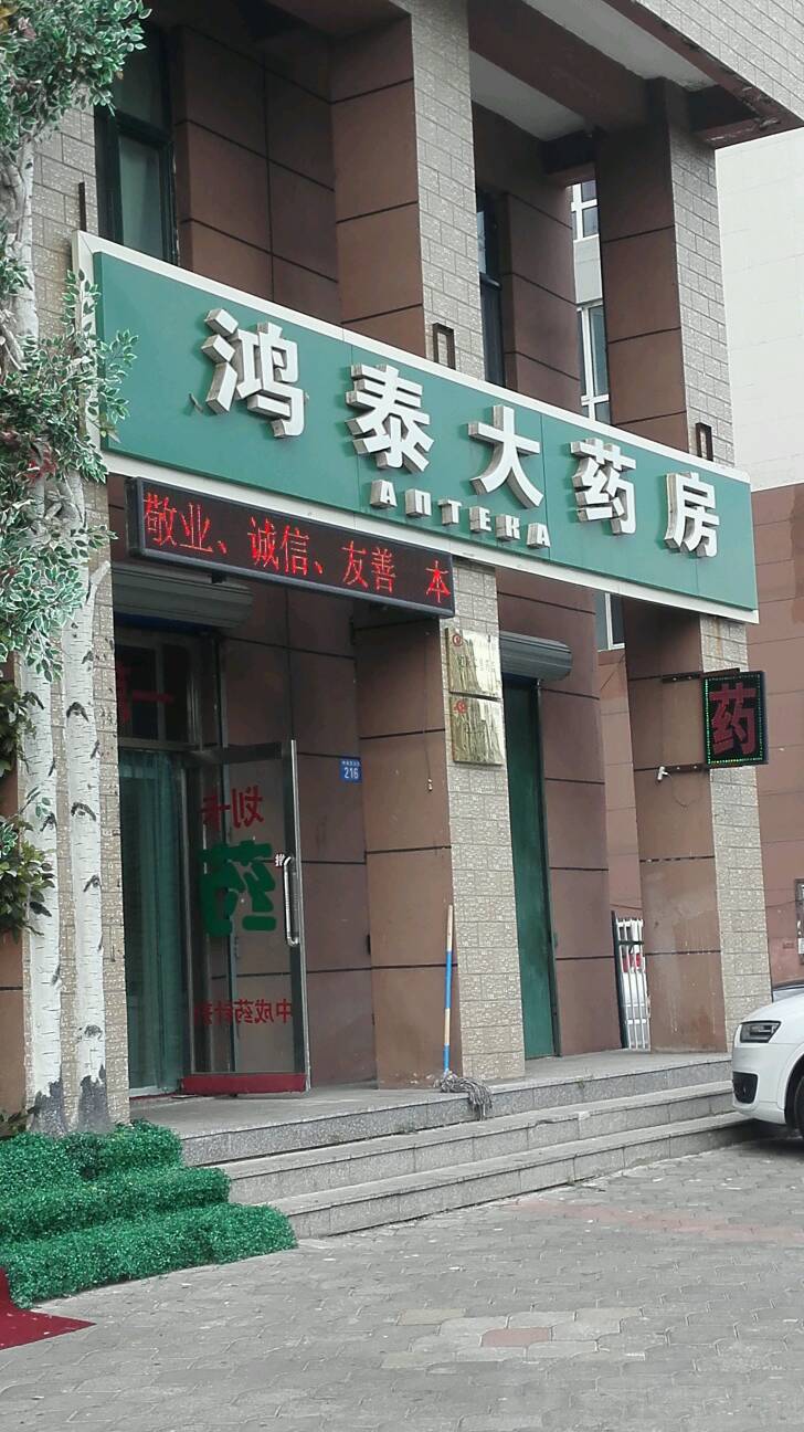 鸿泰大药店(中央东大街店)