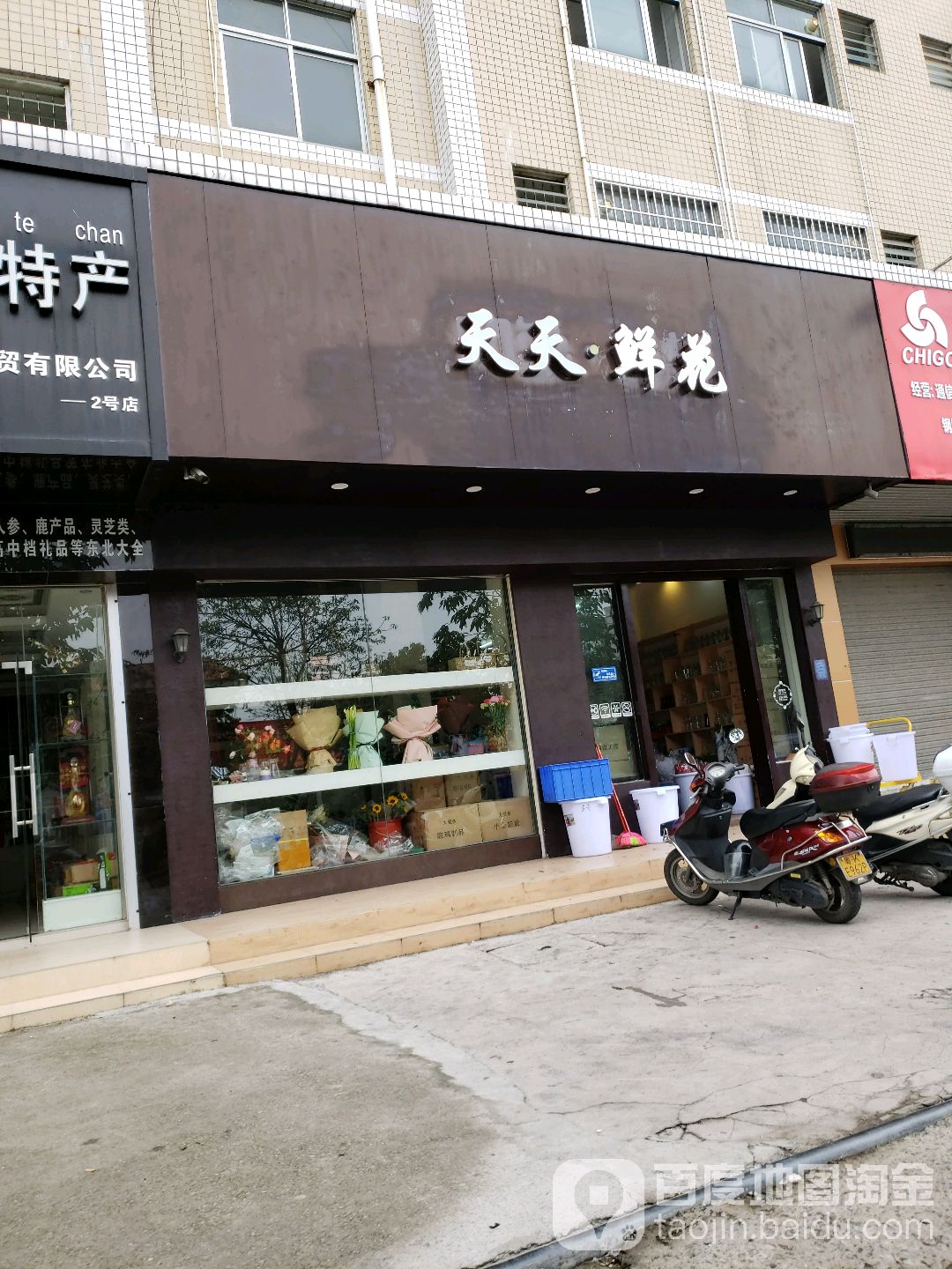 天天鲜花(茂名总店)