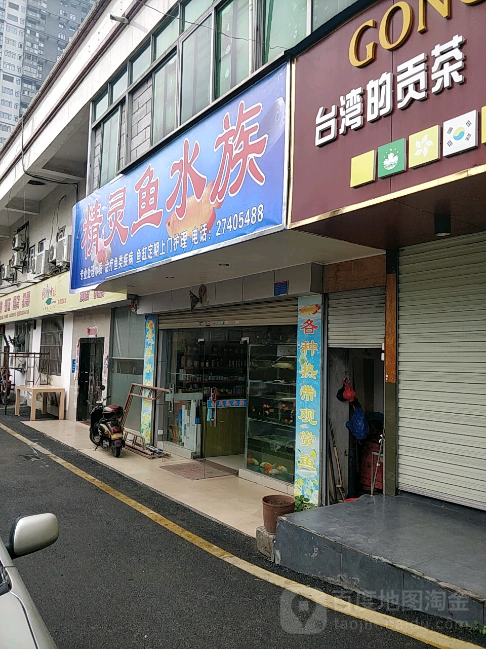 精灵鱼水族