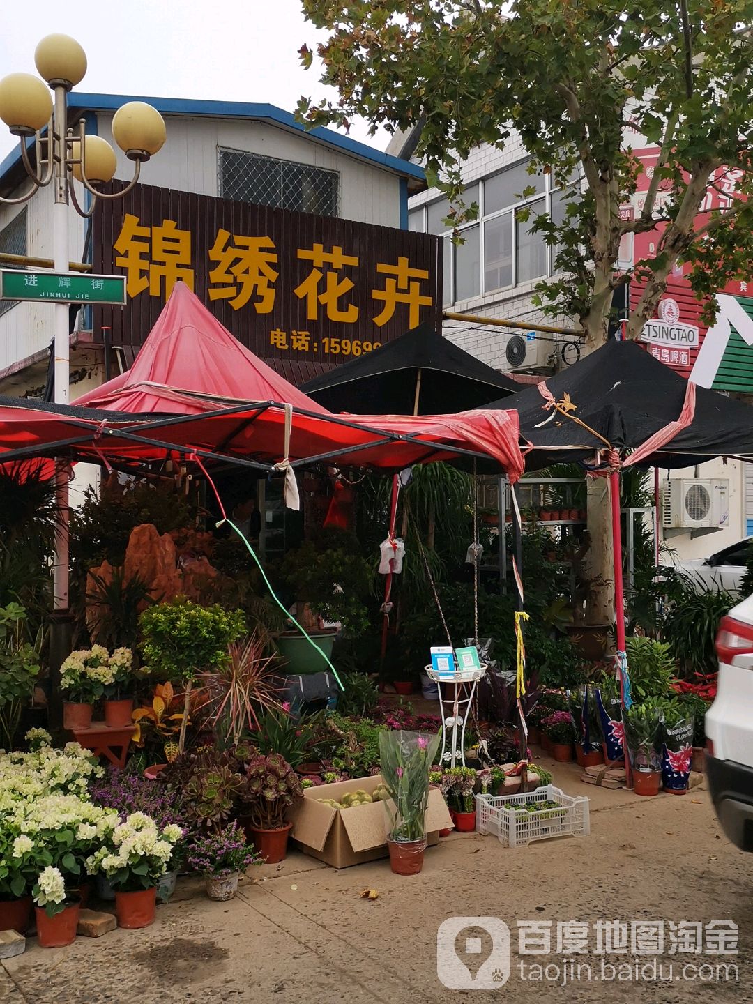 锦绣奇石花卉(进辉街店)