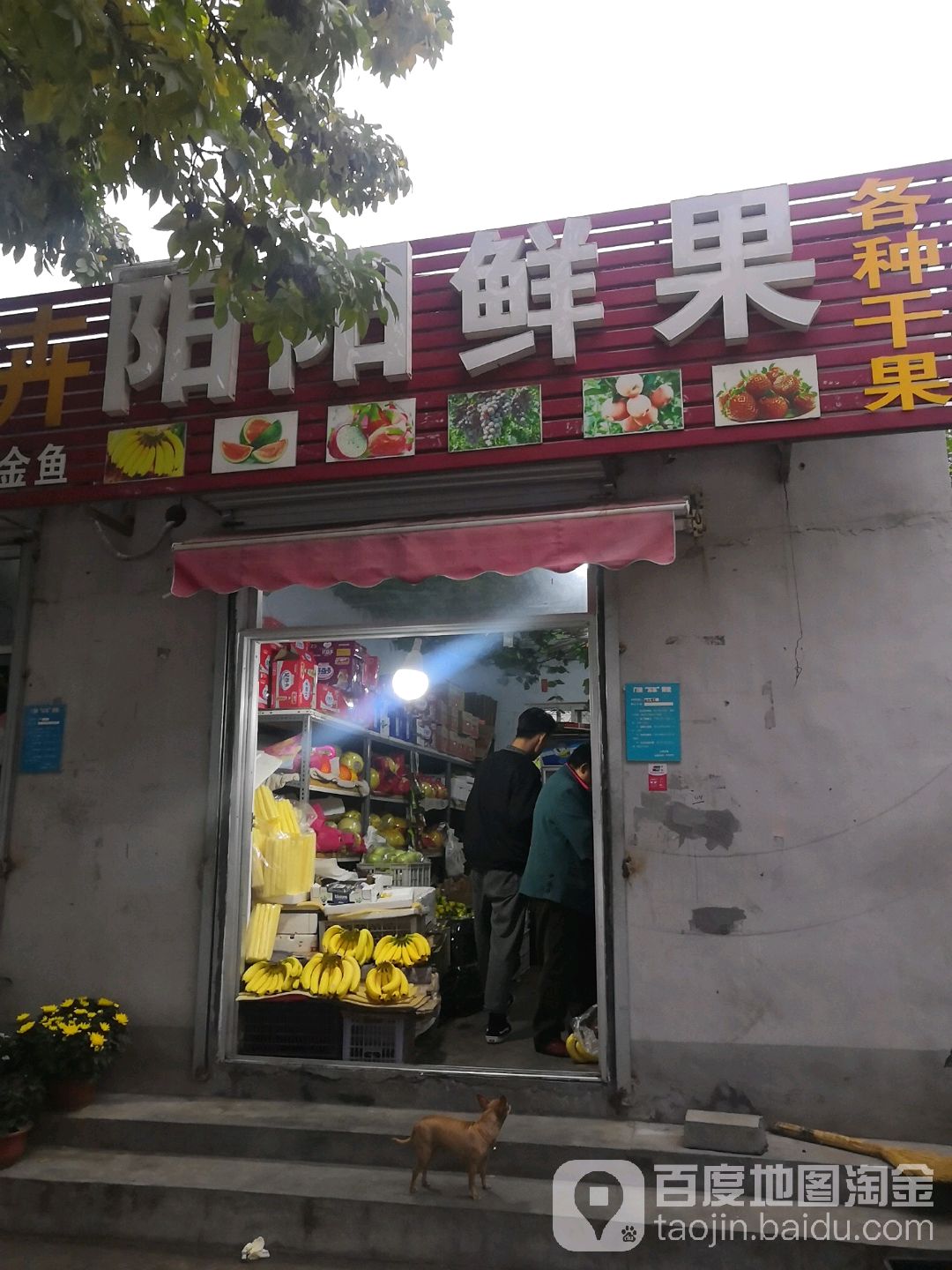 阳阳鲜果(傲徕峰路店)