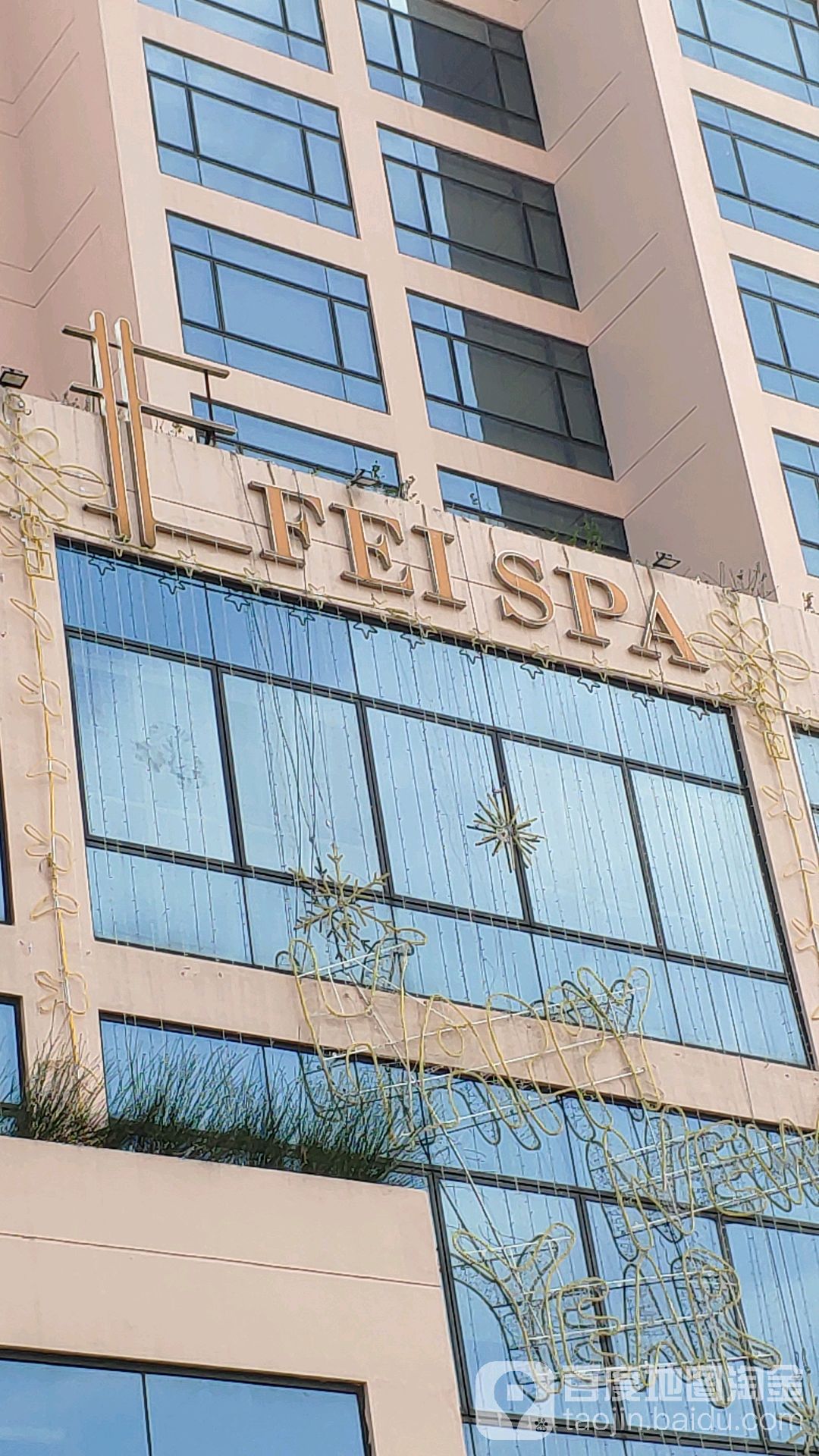 FEI SPA