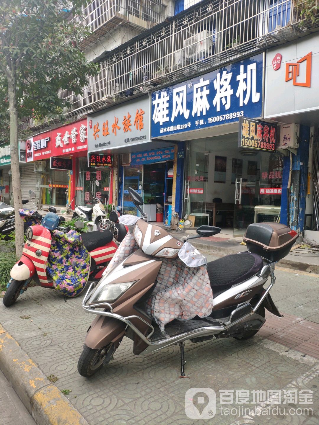 雄风麻将机(囿山路店)