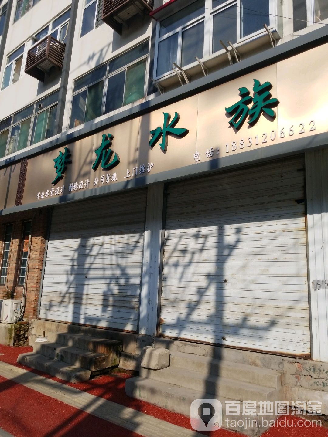 猛龙水族