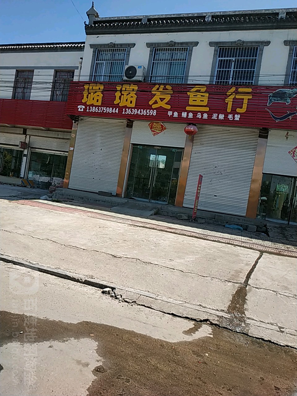 璐璐发鱼行