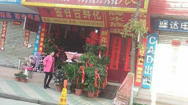 固始县金百合鲜花(迎宾路店)