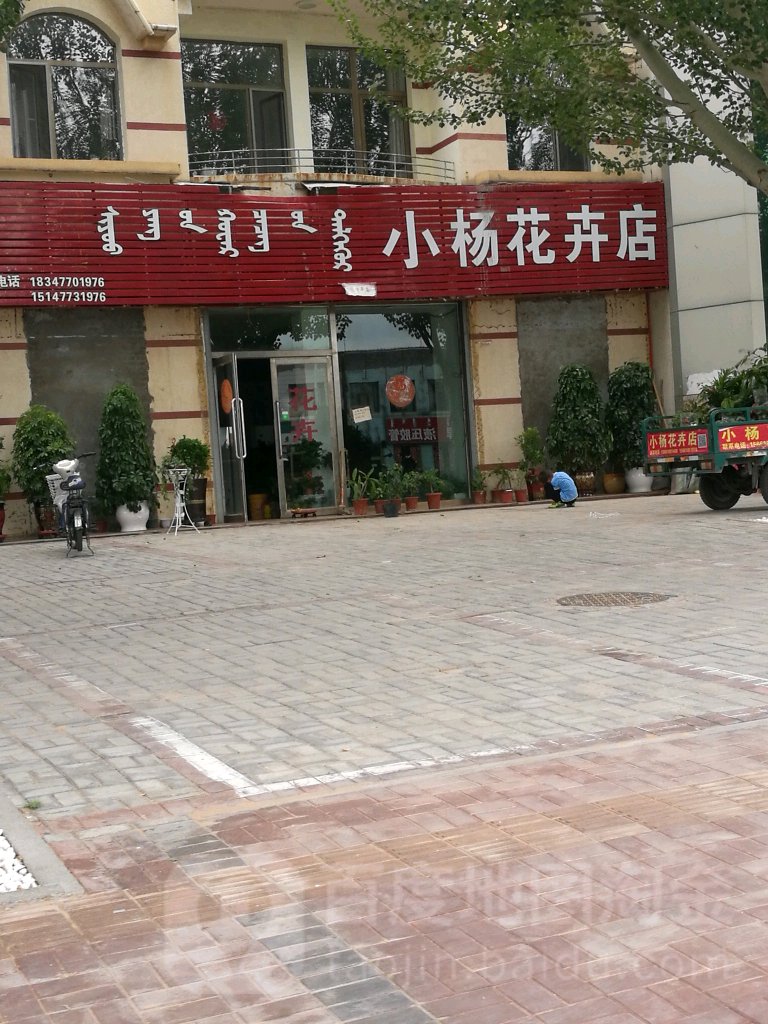 小杨花卉店