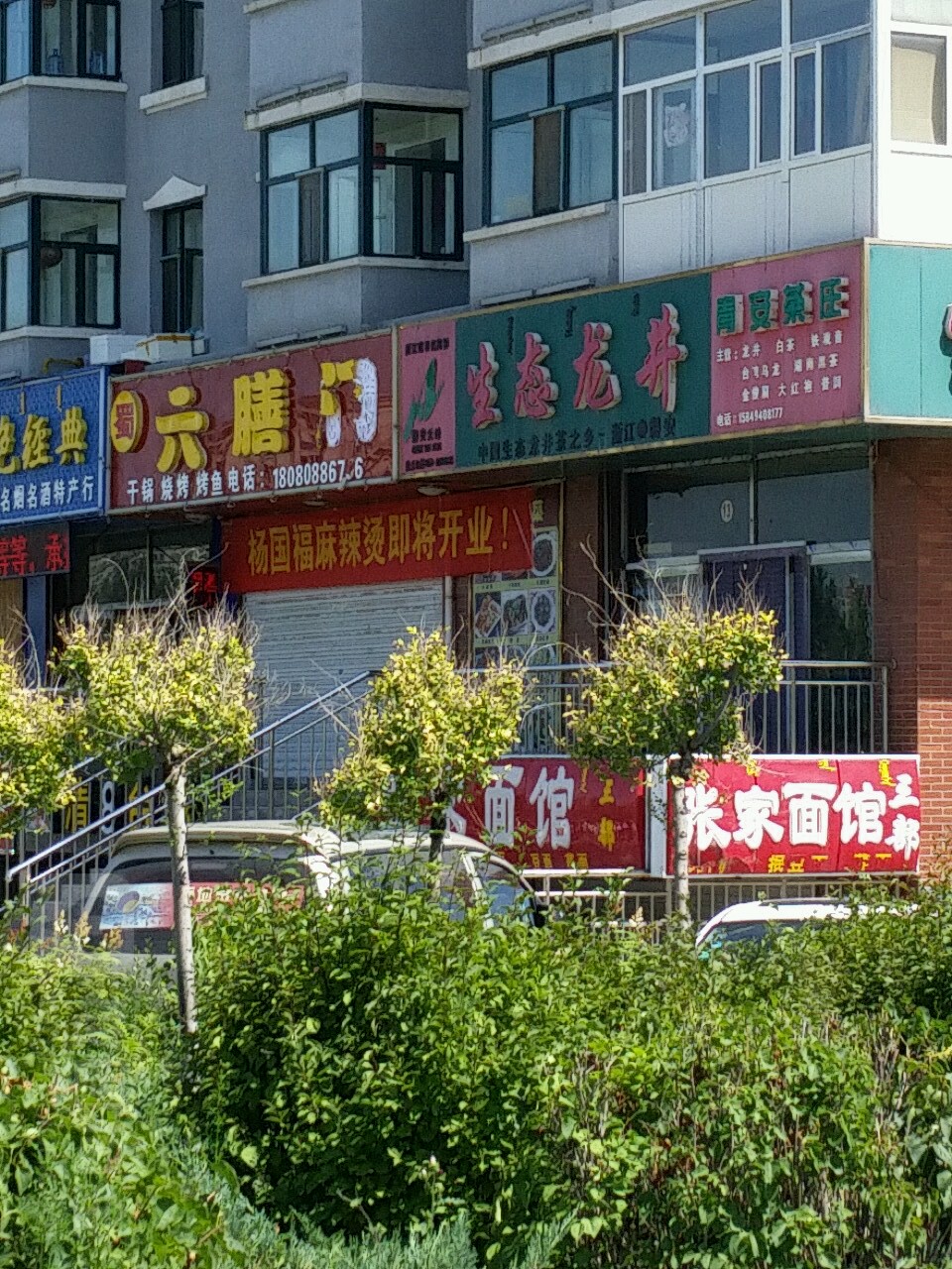 生态龙井