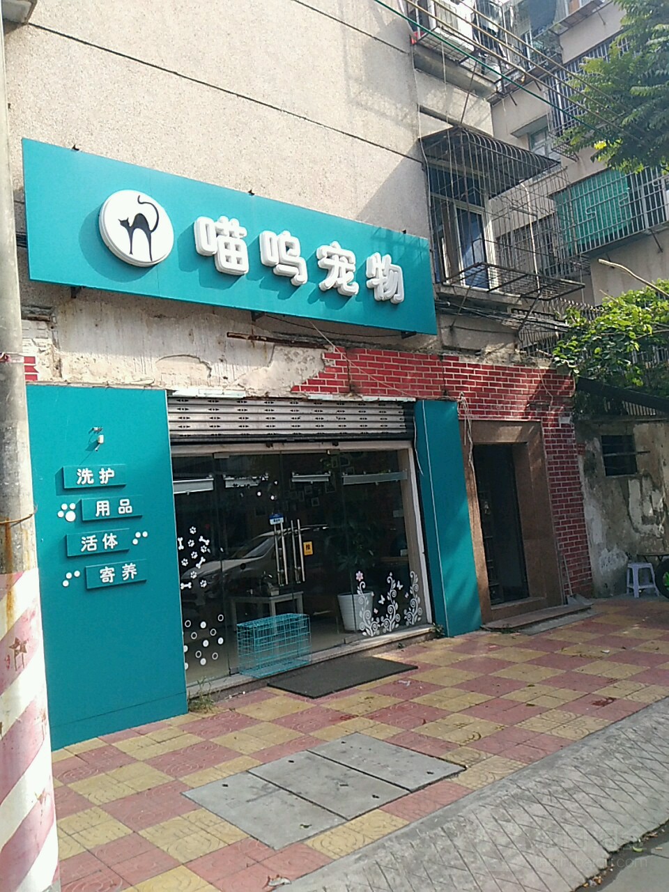喵呜宠物
