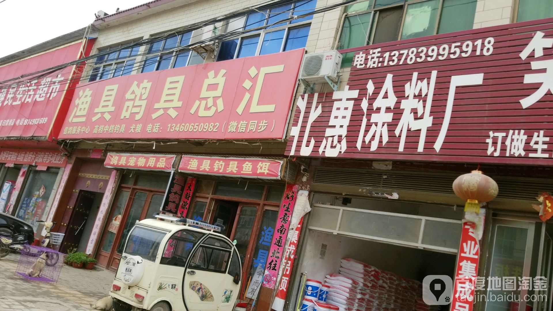 渔具鸽具总会