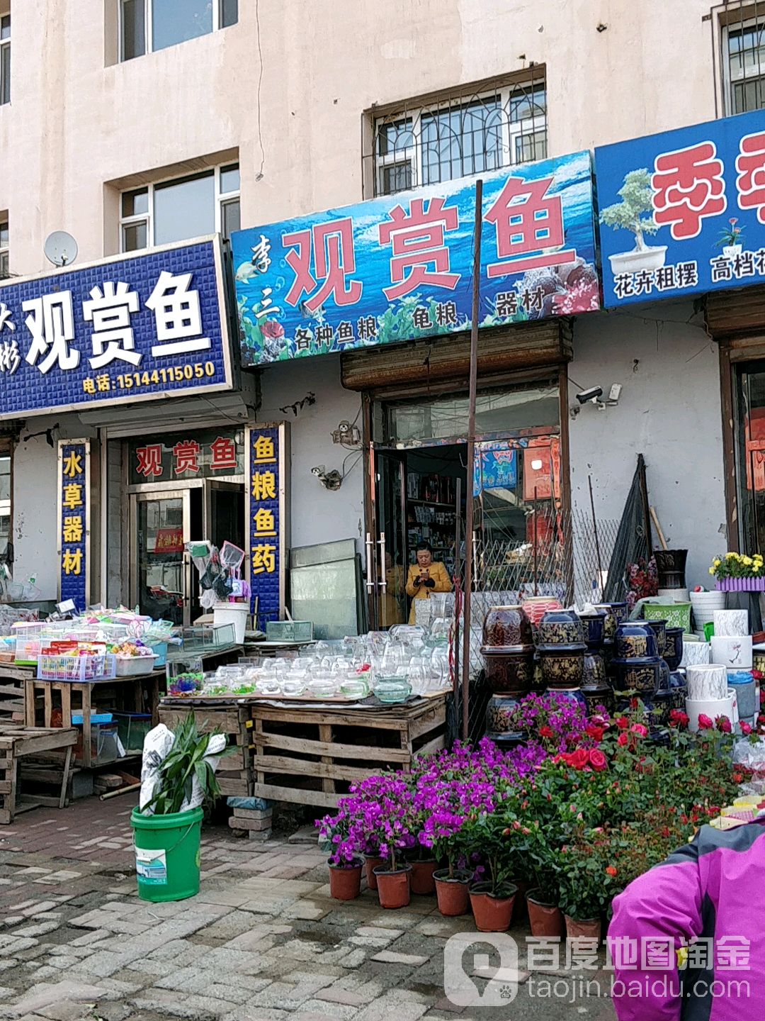 李三观赏鱼