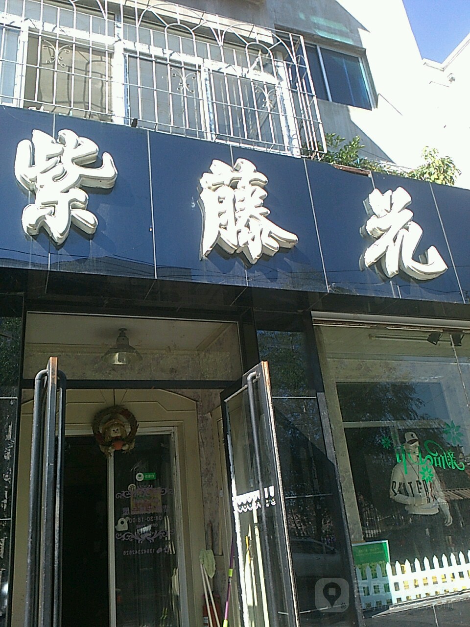 紫腾花