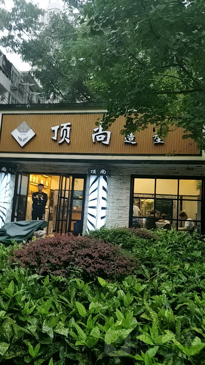 顶尚造型(苜卫路店)