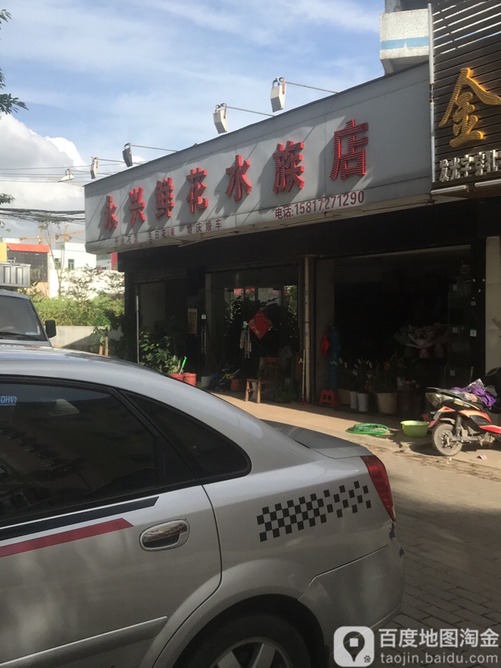 永恒鲜花水族馆