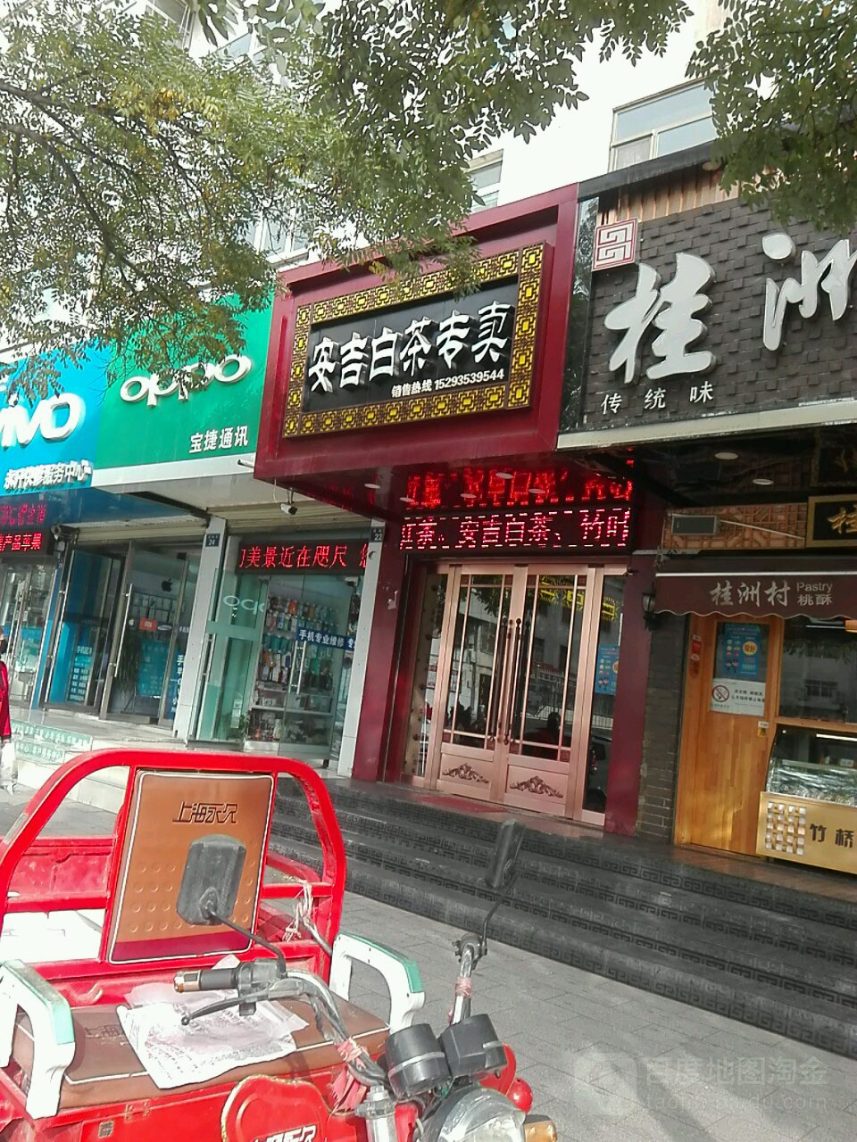安吉白茶专卖
