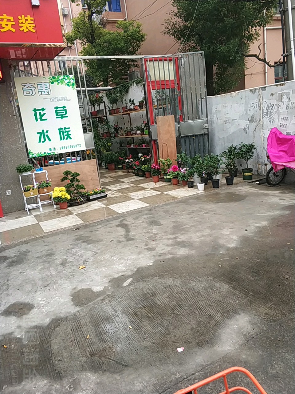 花鸟水景