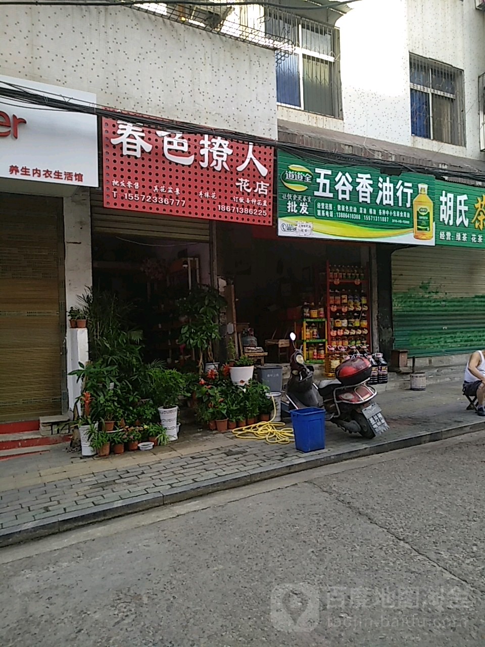 春色撩人花店