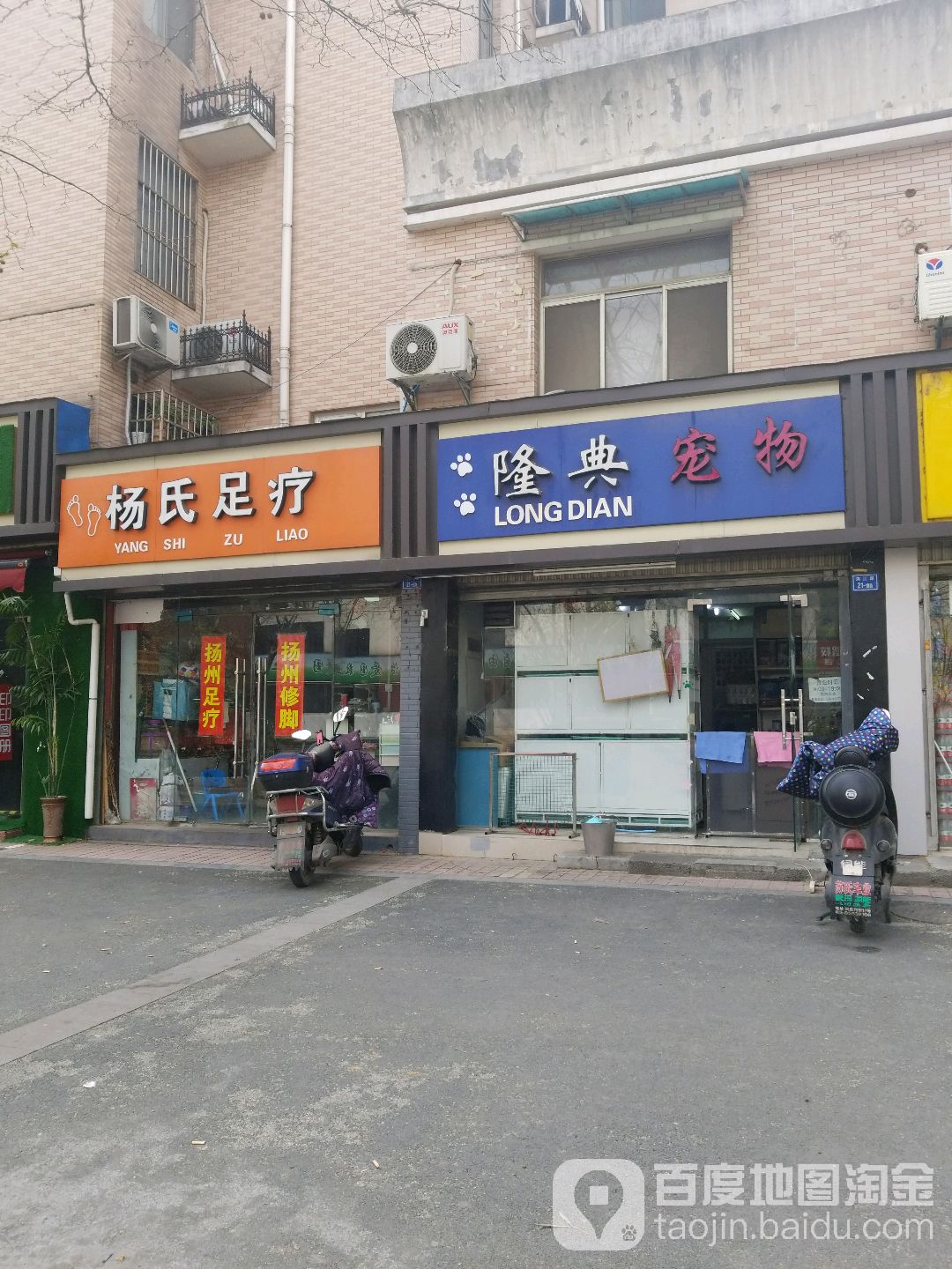 隆典宠物