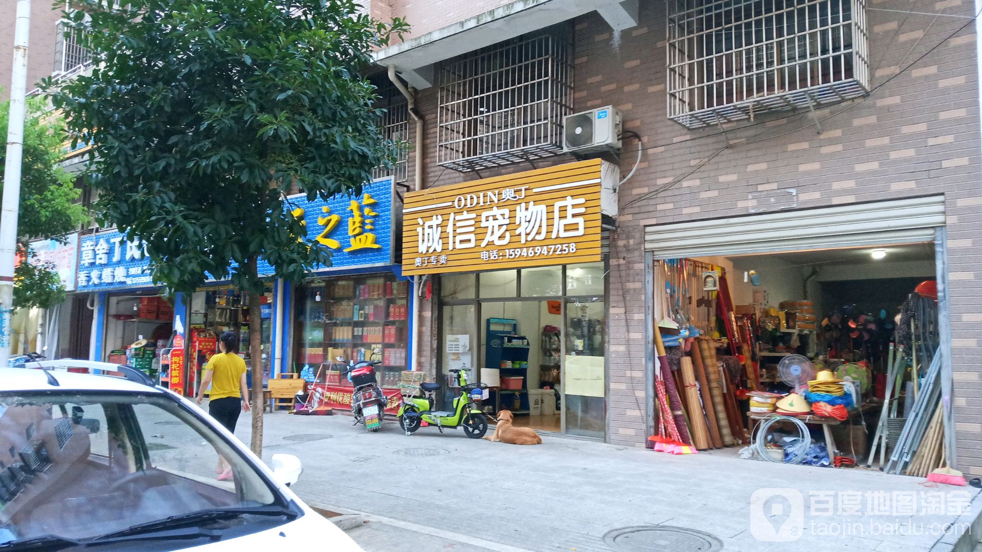 诚信宠物店