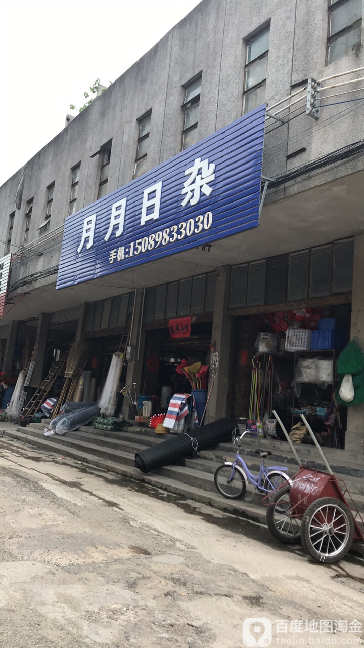 月月日杂