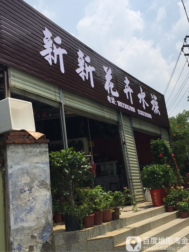 新新花卉水族