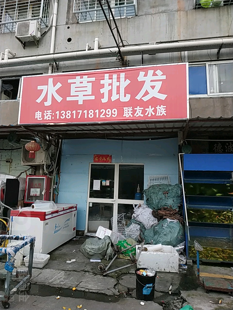 酷草玩家水草批发(总店)