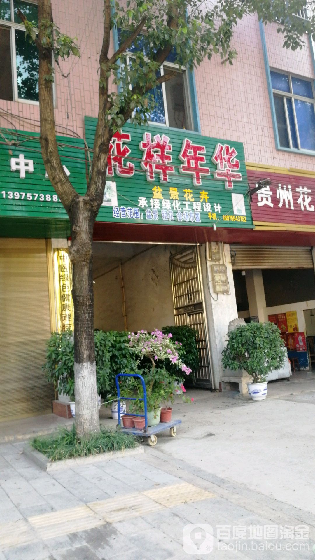 花样年华华盆景花卉(晋屏大道店)