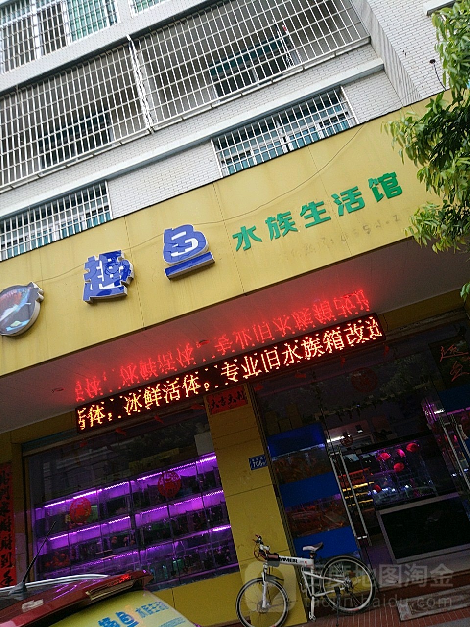 趣鱼水族生活馆(莆田店)