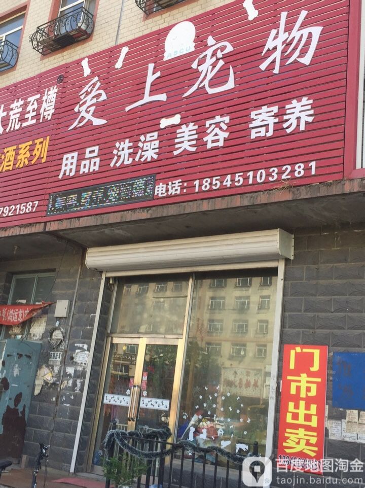 爱上宠物店
