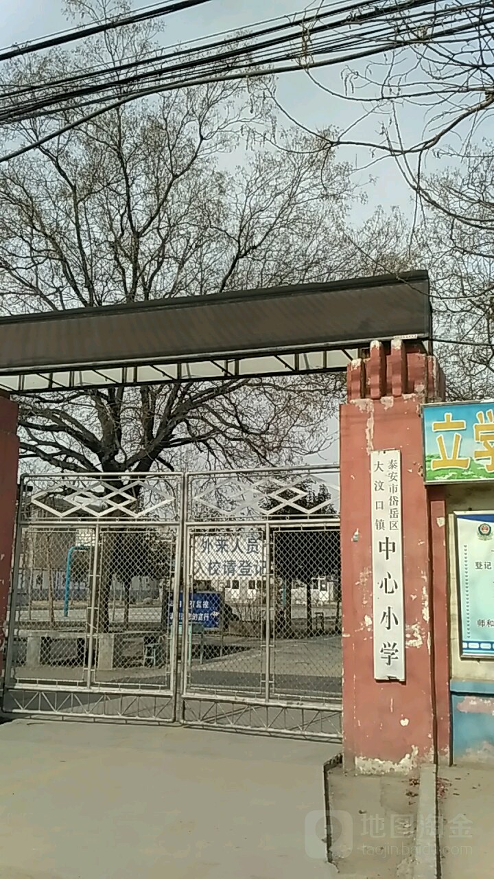 山东省泰安市岱岳区太平街利民街大汶口镇中心小学