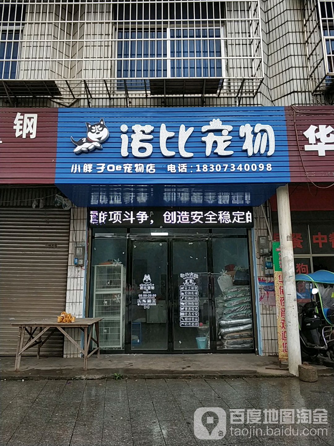诺比宠物