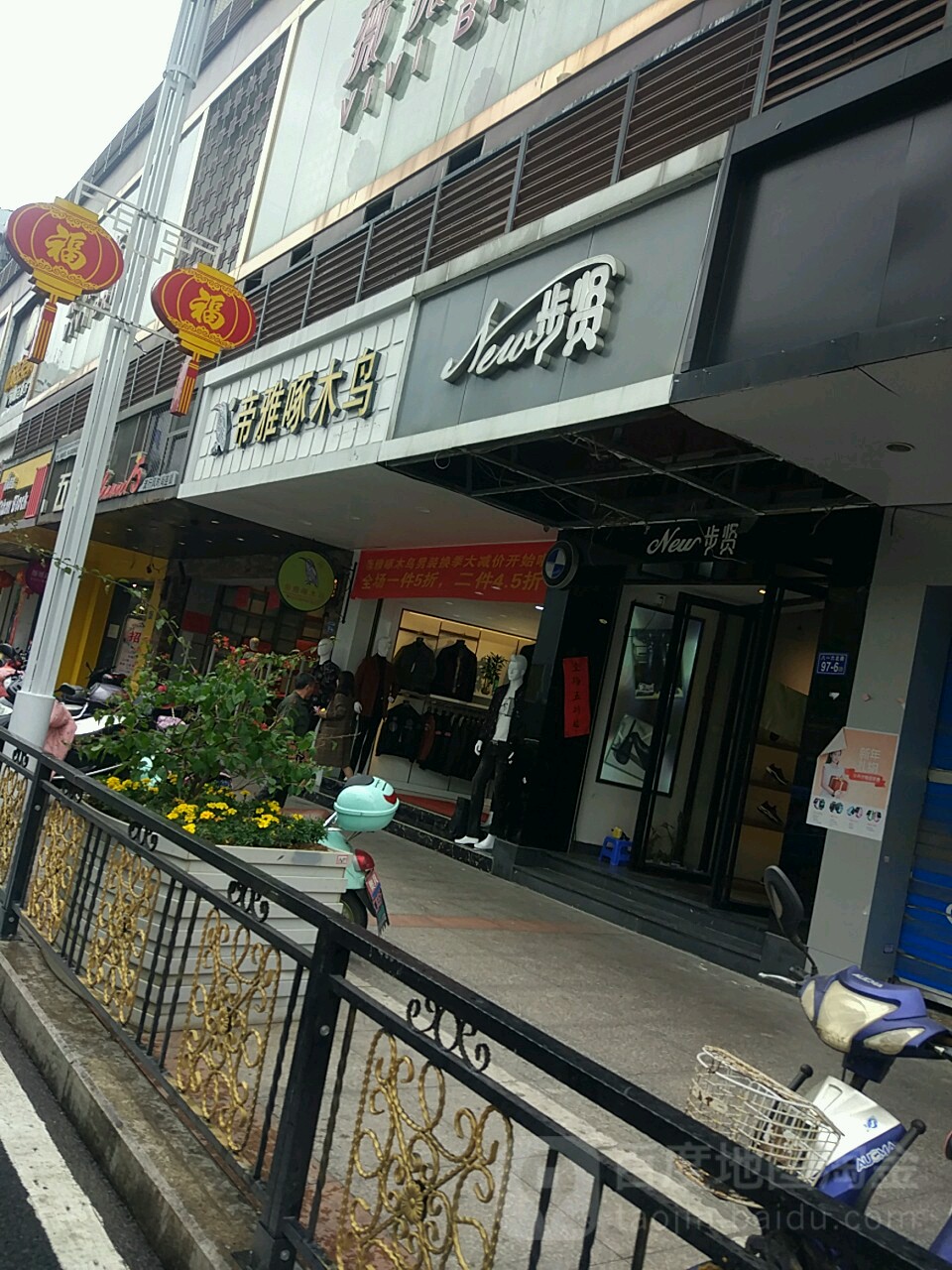 帝王啄木鸟(八一六中路店)