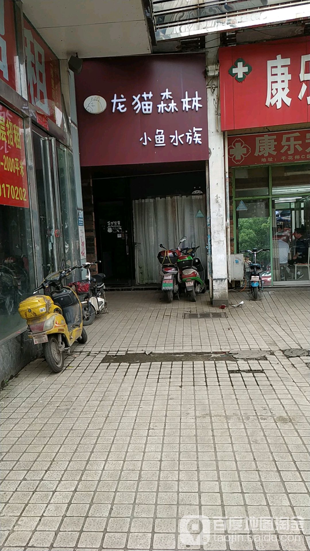 龙猫森林小鱼水族