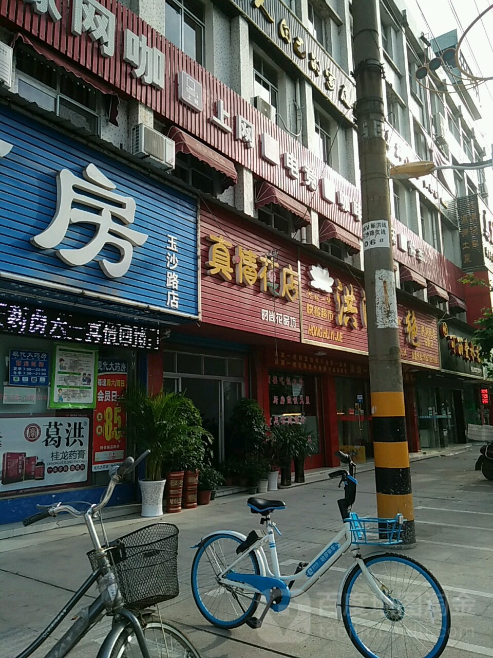 真情花店(玉沙路店)