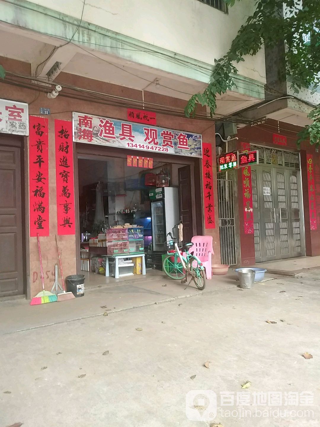 南海渔具观赏鱼