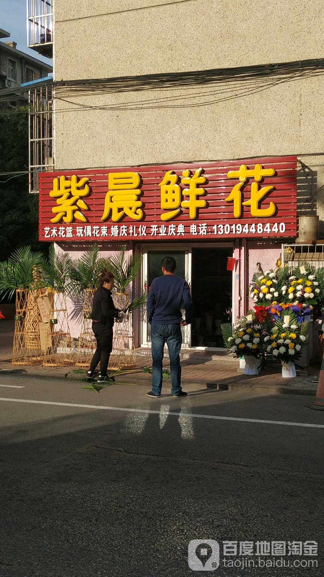 紫晨鲜花