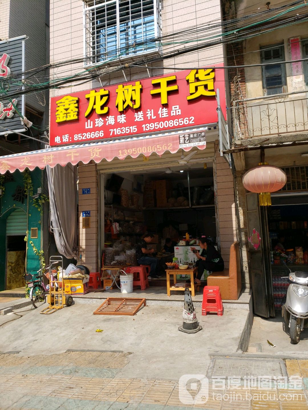 鑫龙树干货批发