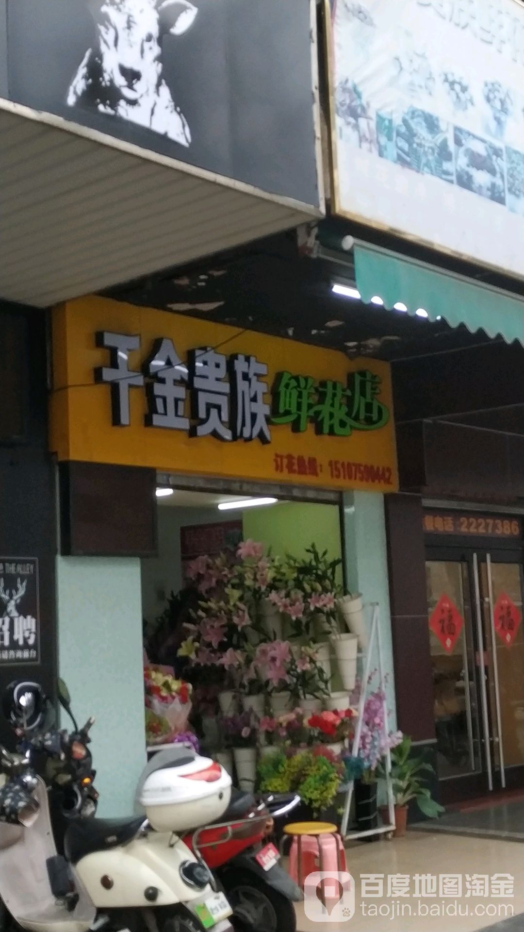 千金贵族鲜花店