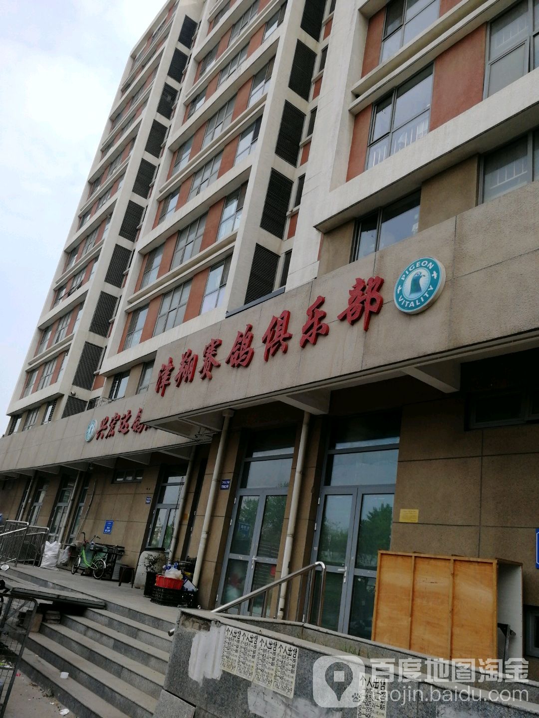 津翔赛鸽俱乐部