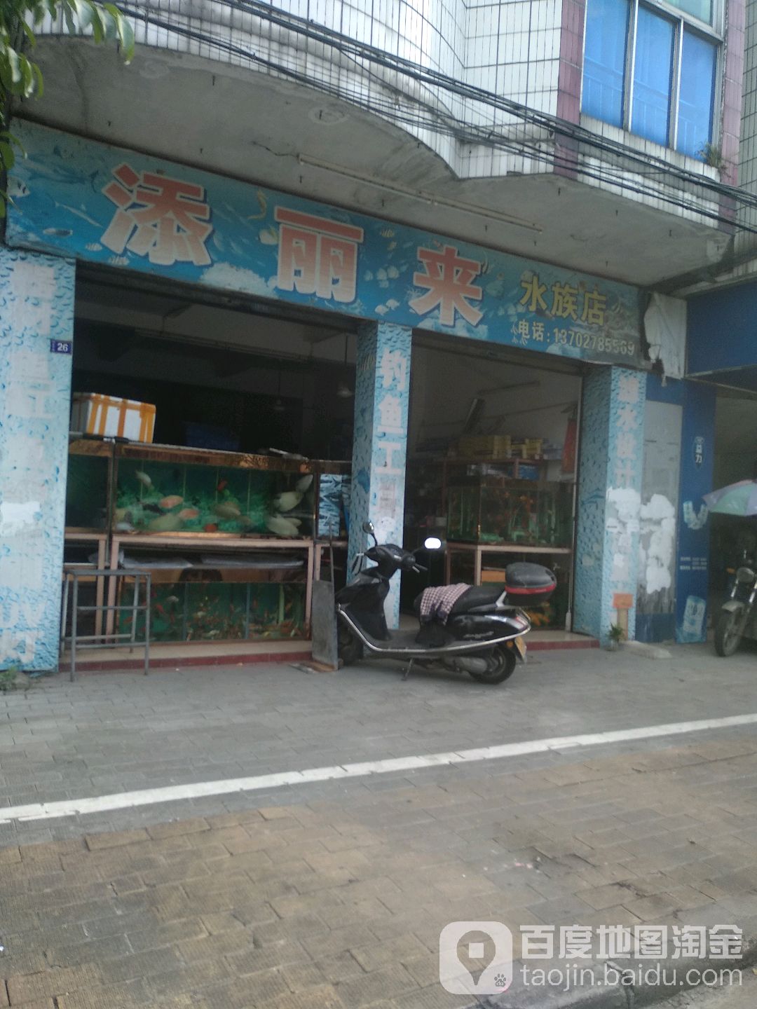添丽来水族店