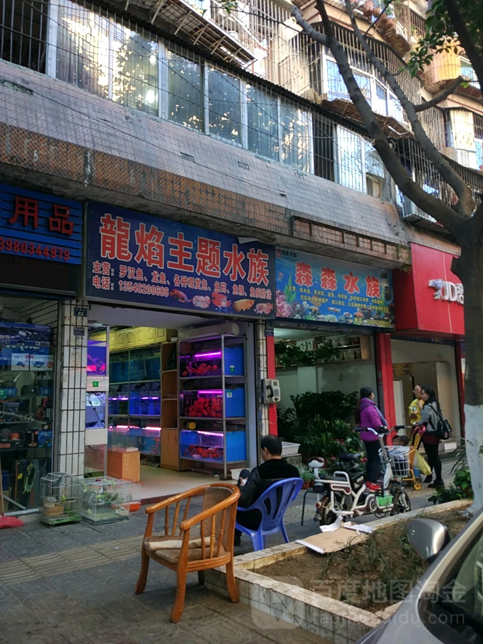 森森水族(仁和街店)