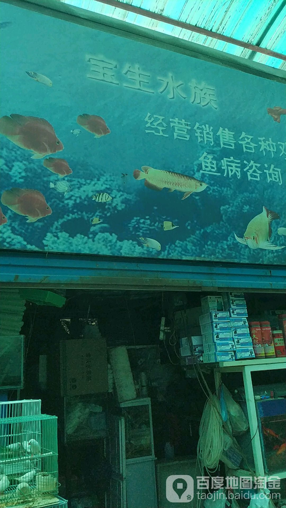 宝生水族