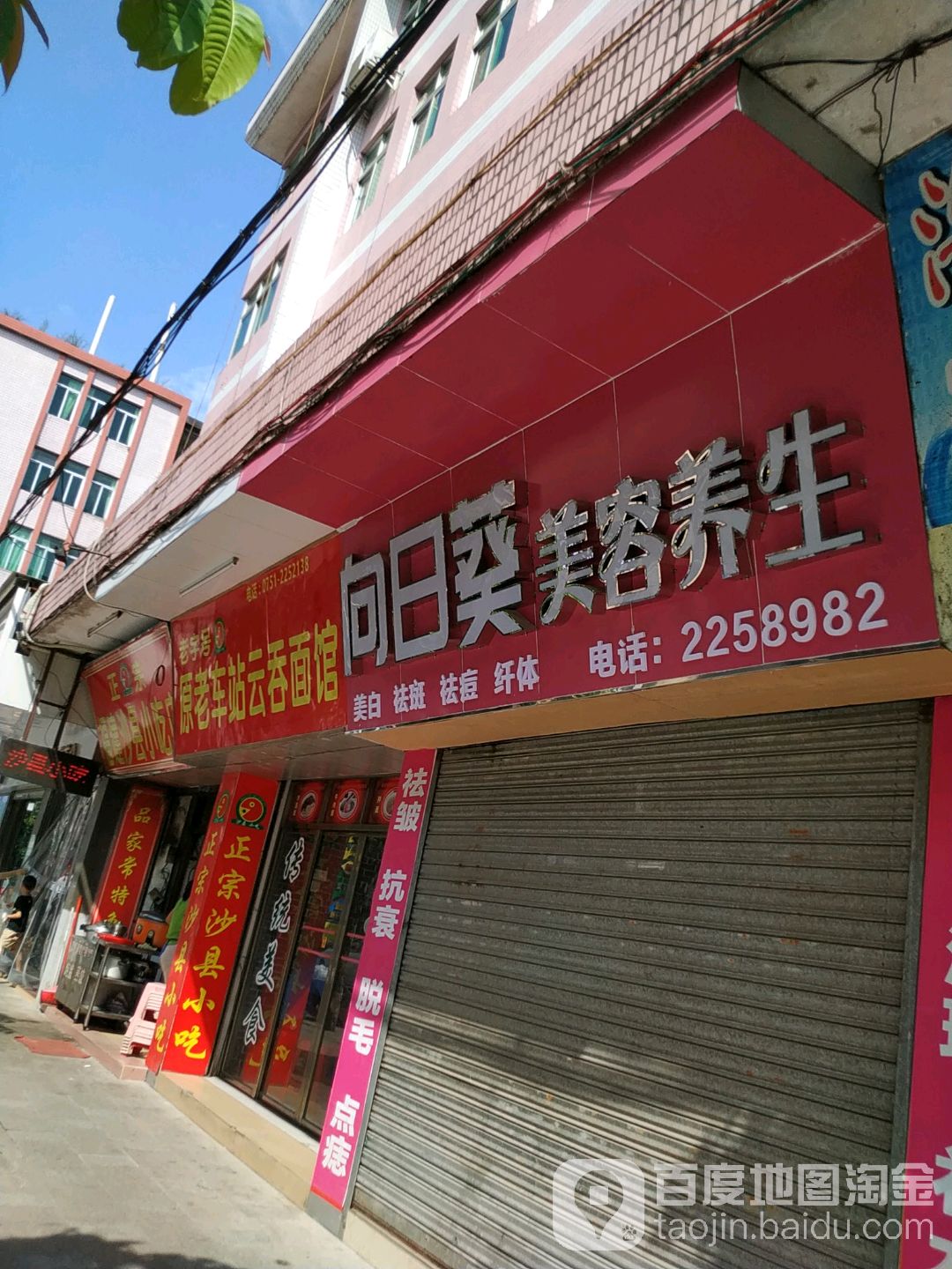 重向葵美容养生